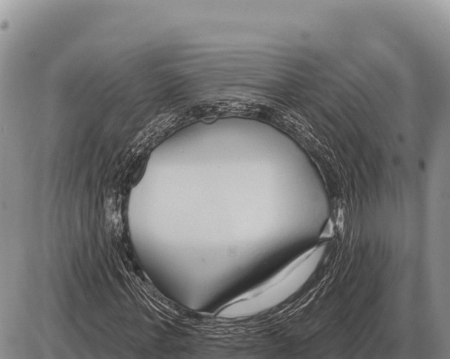 X0000086300771200704271826