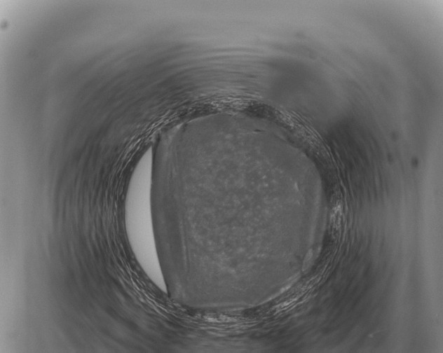 X0000086300772200704271826