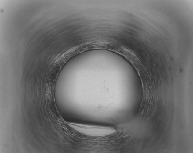 X0000086300773200704271826