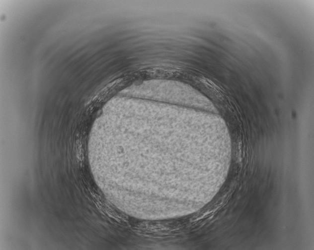 X0000086300774200704271826