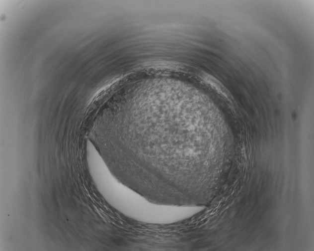 X0000086300775200704271826