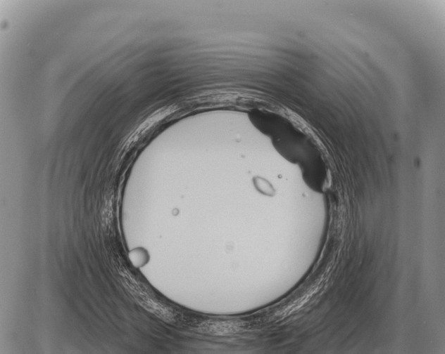 X0000086300778200704271826