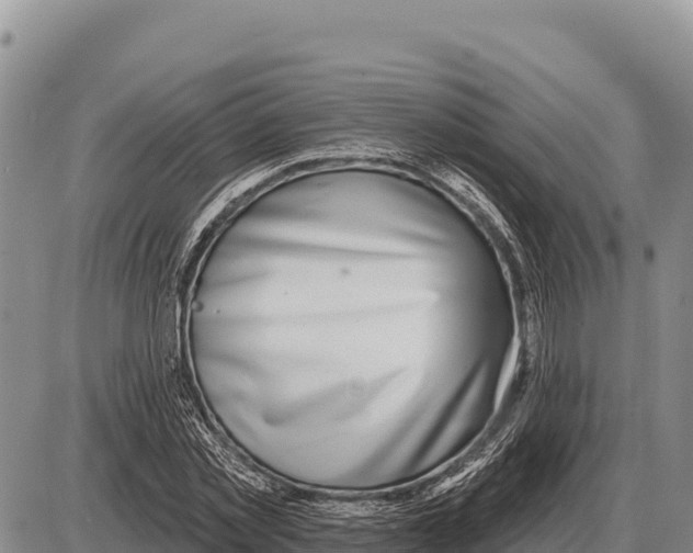 X0000086300781200704271826