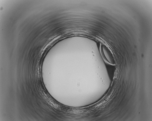 X0000086300782200704271826