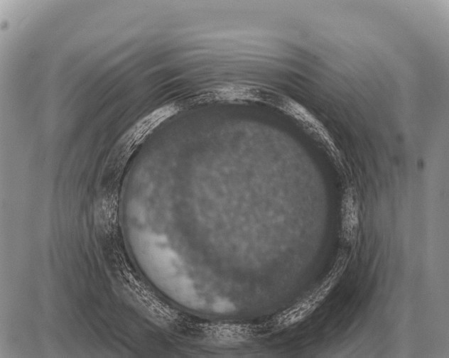 X0000086300785200704271826