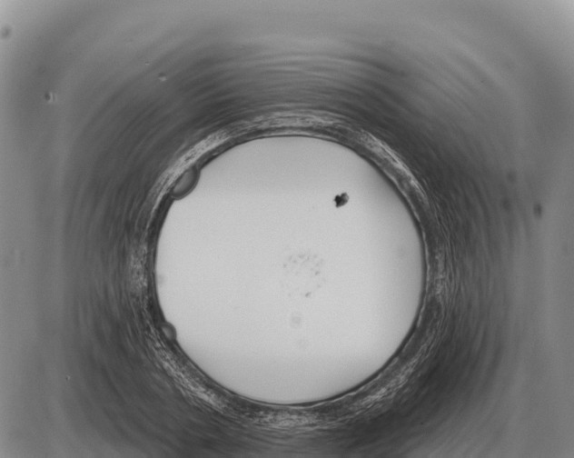 X0000086300786200704271826