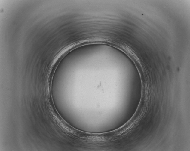 X0000086300789200704271826