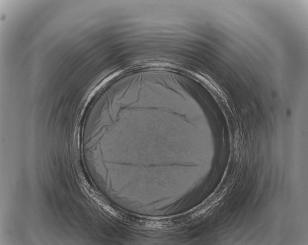 X0000086300790200704271826