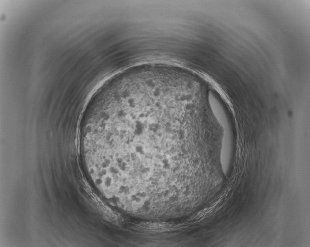 X0000086300791200704271826