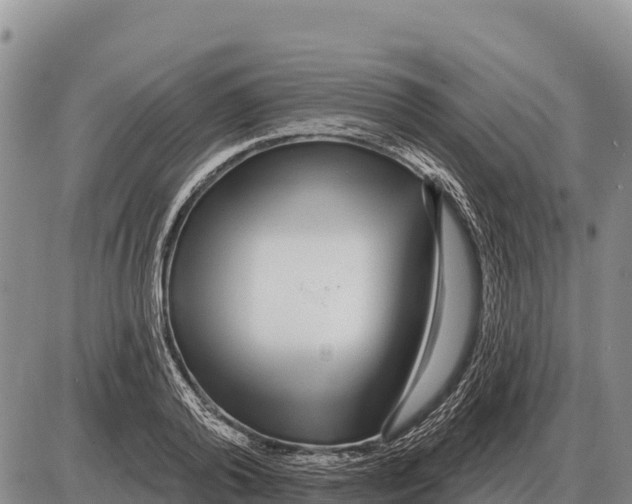 X0000086300792200704271826