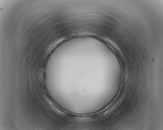 X0000086300793200704271826