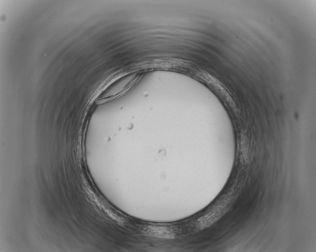 X0000086300794200704271826