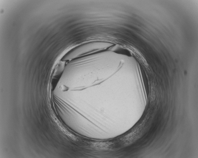 X0000086300796200704271826