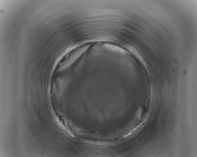 X0000086300797200704271826