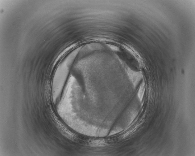 X0000086300798200704271826