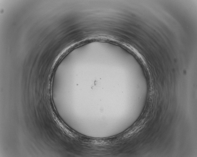 X0000086300799200704271826