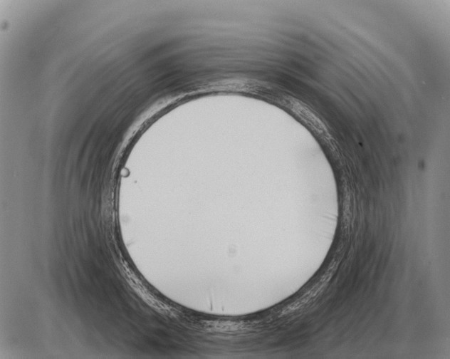 X0000086300800200704271825