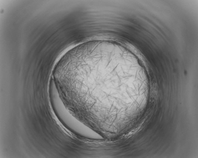 X0000086300803200704271825