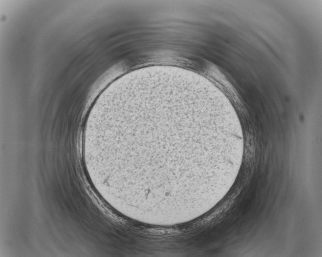 X0000086300804200704271825