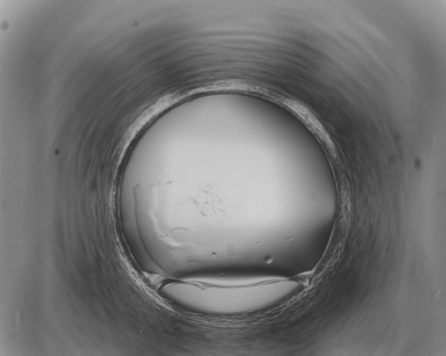 X0000086300805200704271825