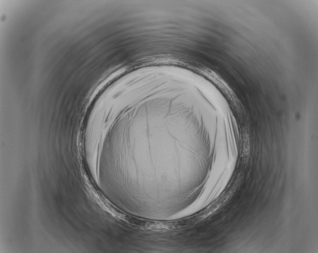 X0000086300806200704271825