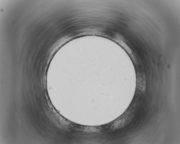 X0000086300807200704271825