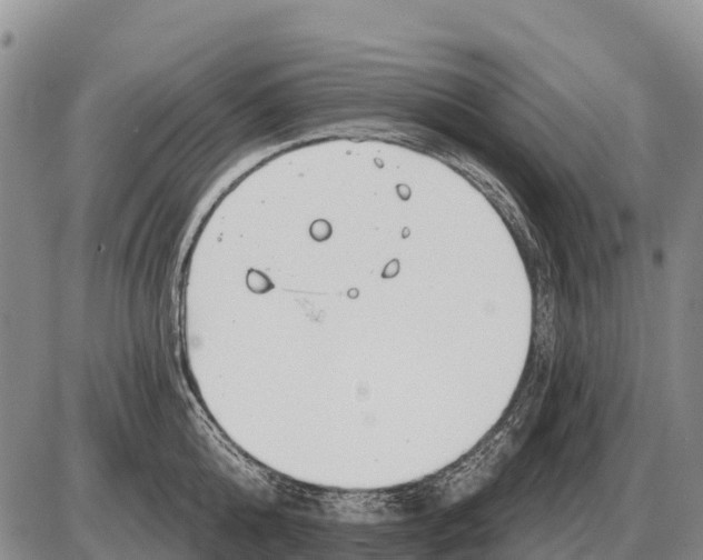 X0000086300808200704271825