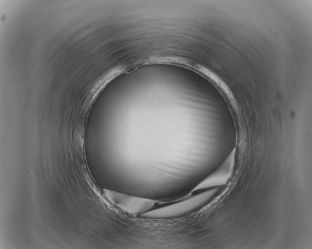 X0000086300809200704271825