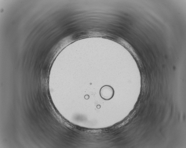 X0000086300810200704271825