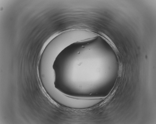 X0000086300812200704271825