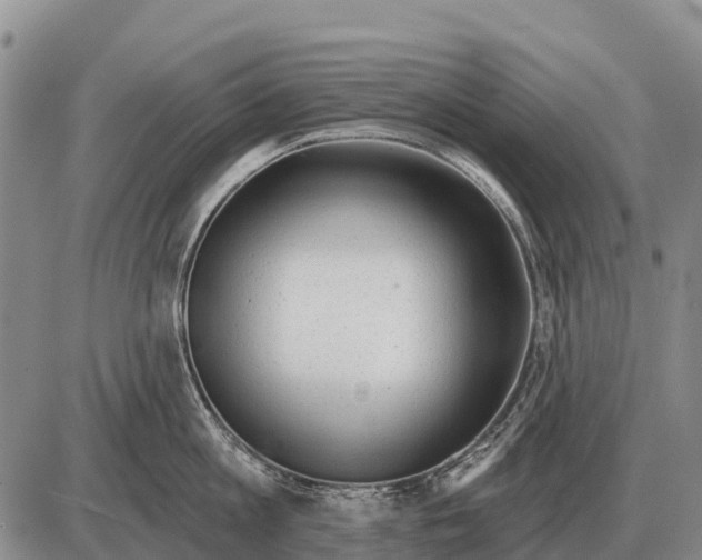 X0000086300813200704271825