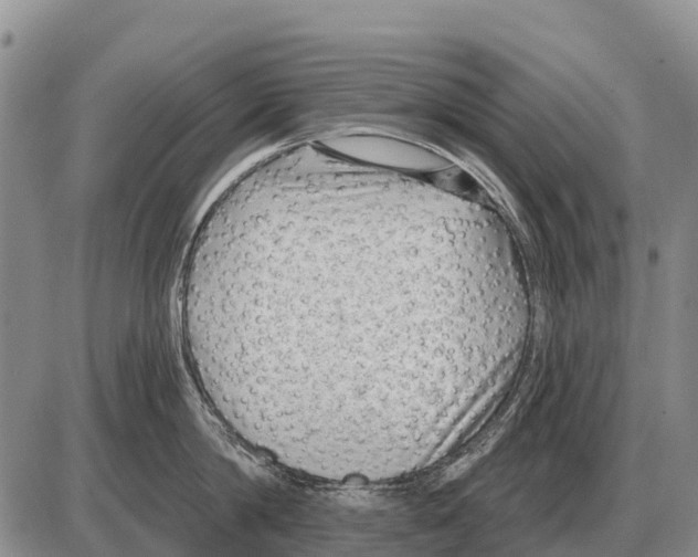 X0000086300814200704271825