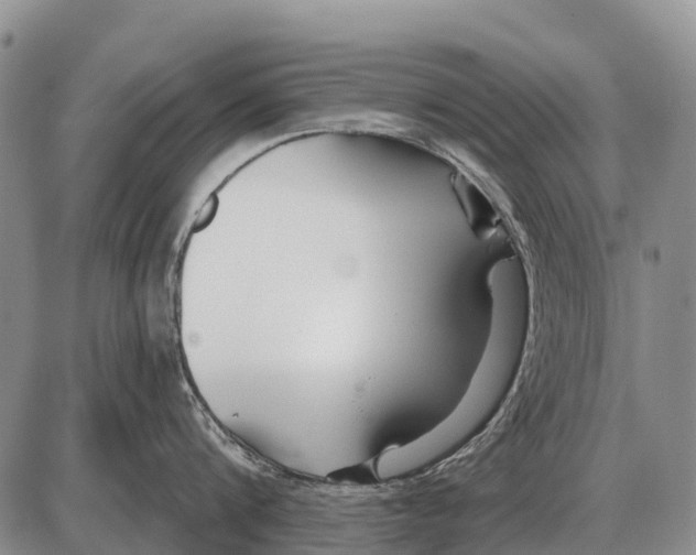 X0000086300816200704271825