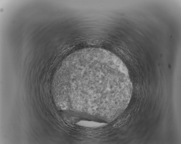 X0000086300817200704271824