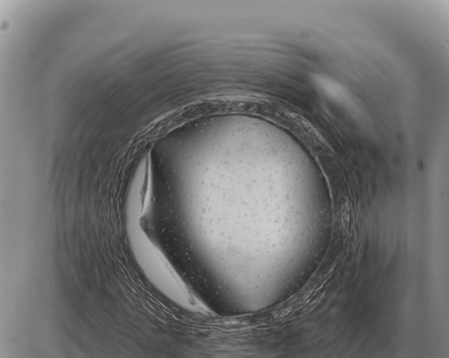 X0000086300821200704271825