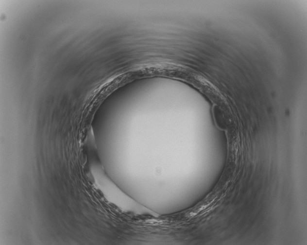 X0000086300822200704271825