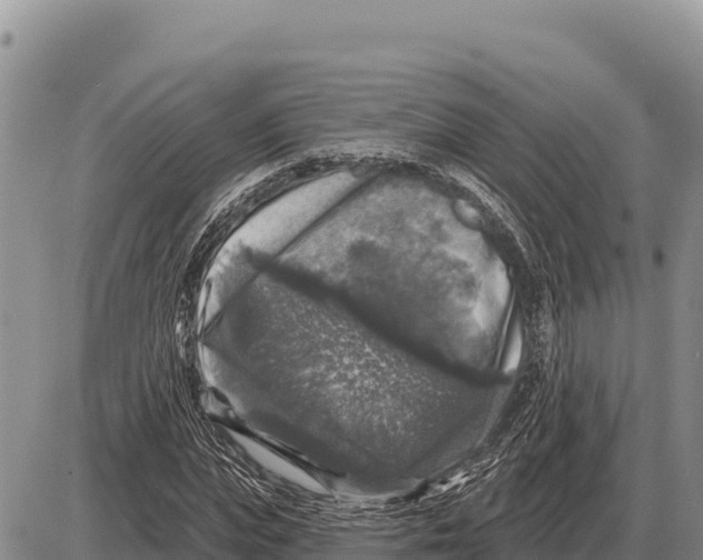 X0000086300823200704271825