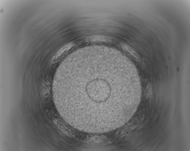 X0000086300824200704271825