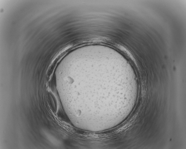 X0000086300827200704271825