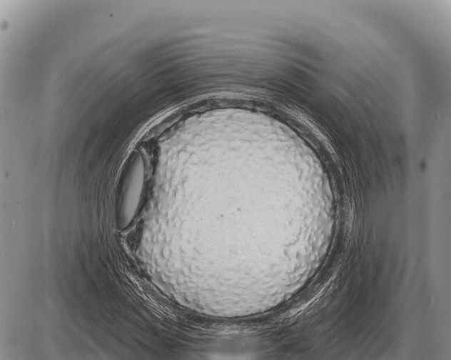 X0000086300829200704271825