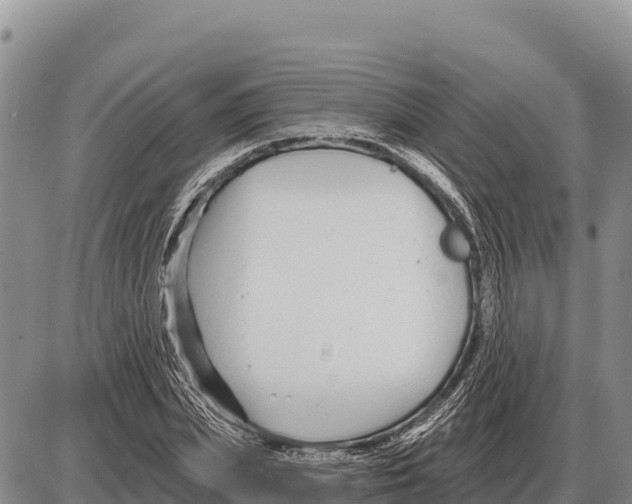 X0000086300831200704271825