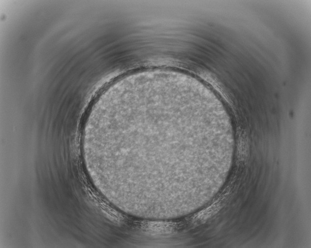 X0000086300832200704271825