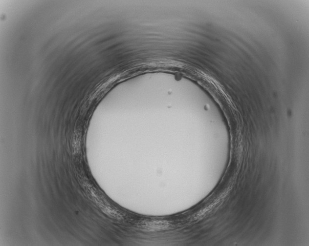 X0000086300833200704271825