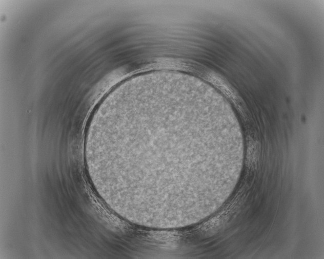 X0000086300836200704271825