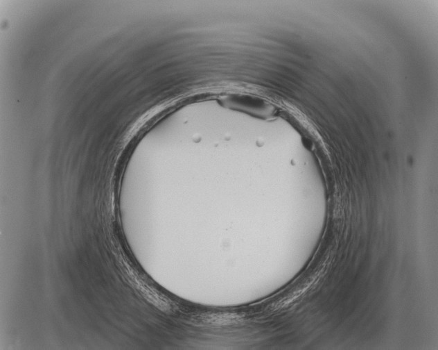 X0000086300837200704271825