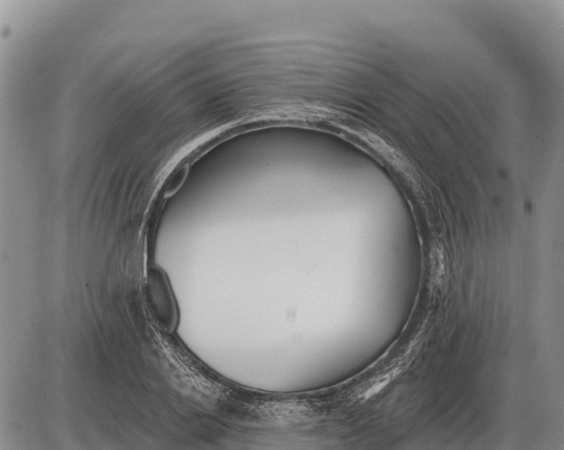 X0000086300838200704271825