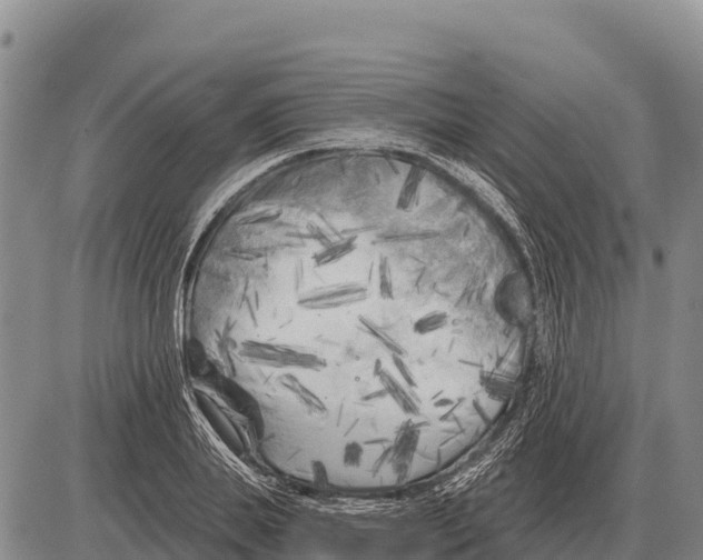 X0000086300839200704271825