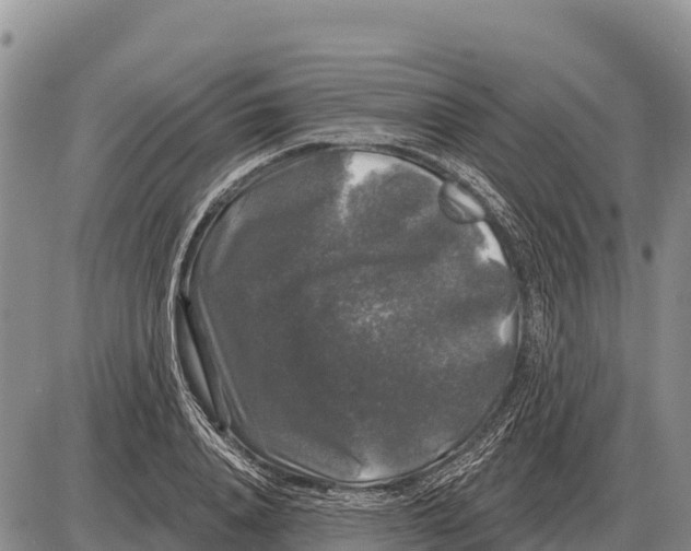 X0000086300840200704271825