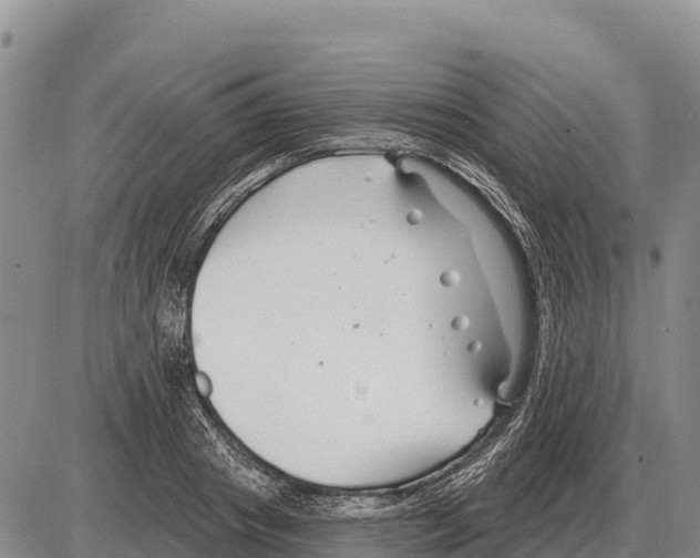 X0000086300841200704271825