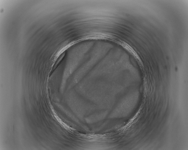 X0000086300842200704271825